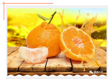 相见皆是春，遇见最美的意外——春见